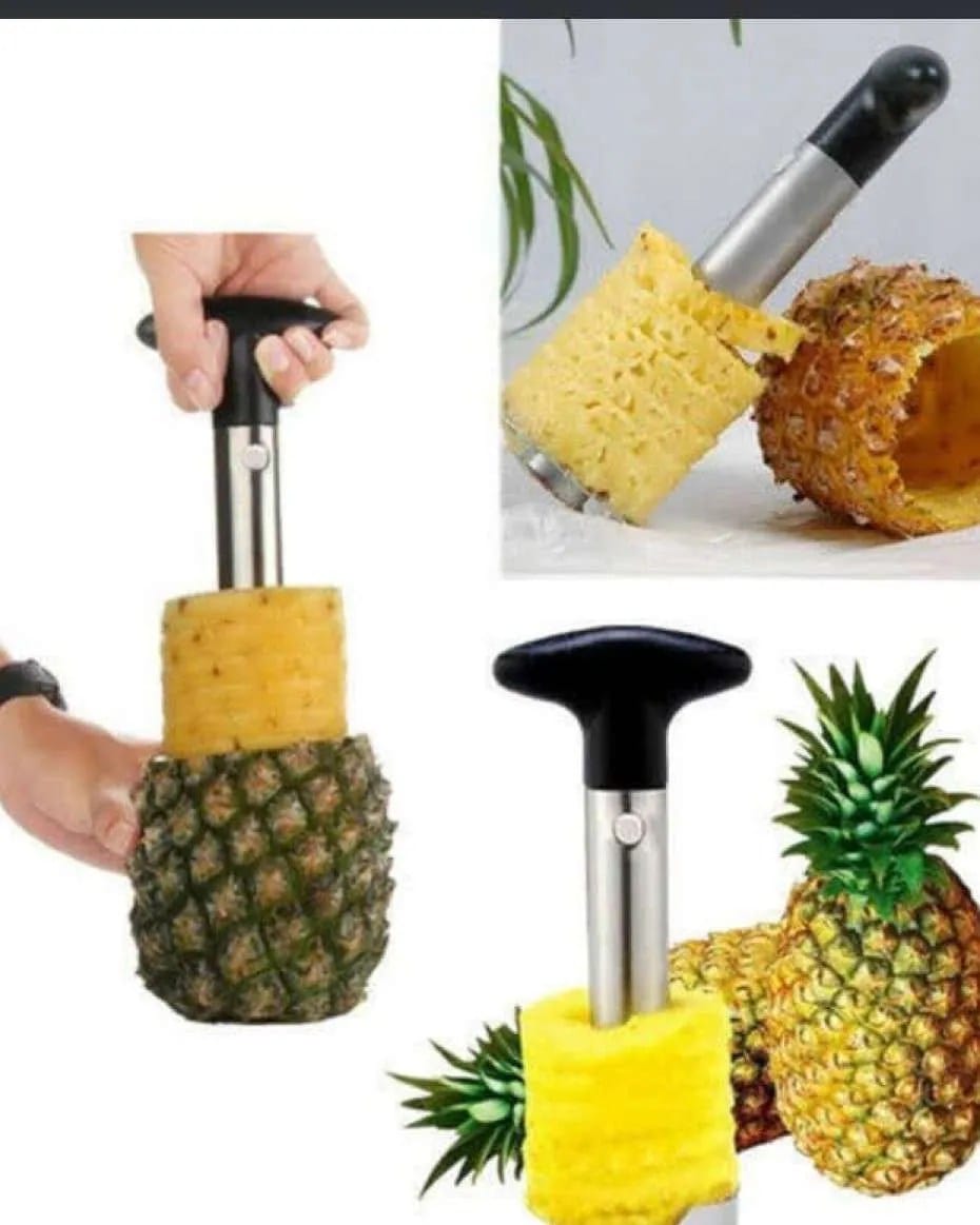 Pineapple peeler,slicer and cutter, stainless steel fruit tools .